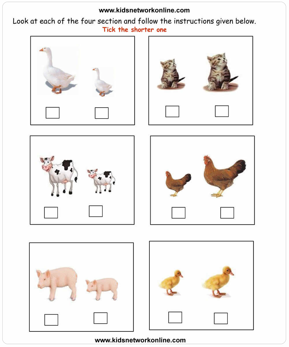 Tall and short Size worksheet-4