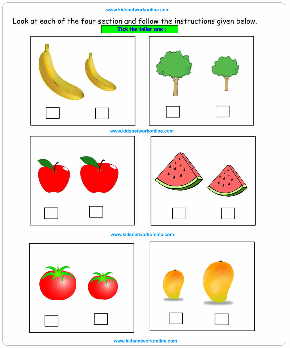 Tall and short Size worksheet-5