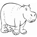 animal coloring-Hippopotamous